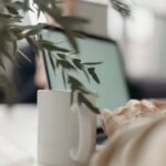 Benefits of Setting Up a German Corporation and Flexibility in Director Changes