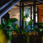 Buying a Company in Germany Ensuring a Clean Acquisition