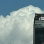 Purchasing a Ready-Made Company in Germany with the Help of a Certified Translator